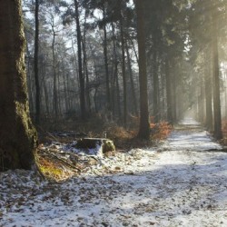 The first snow fell
